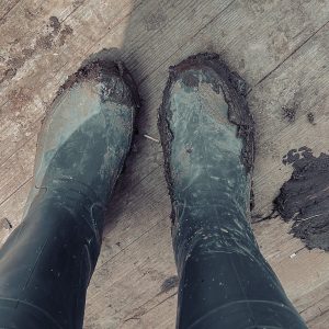 Novarock - Produktionsassistenz